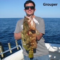 grouper